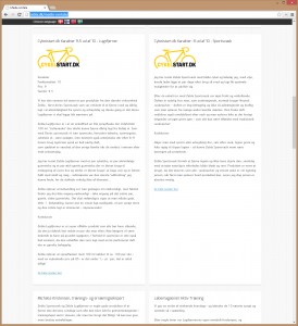 2013-10-zebla-website